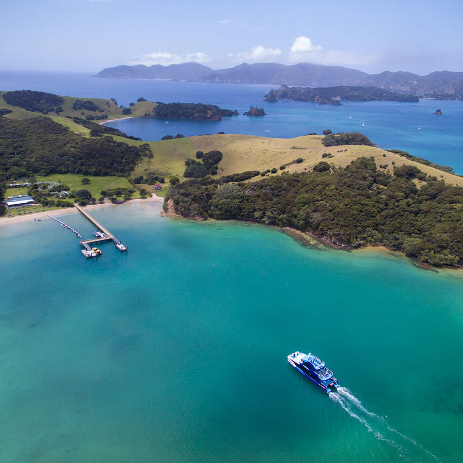 SAVOUR NORTHLAND New Zealand. Foodie Tours.